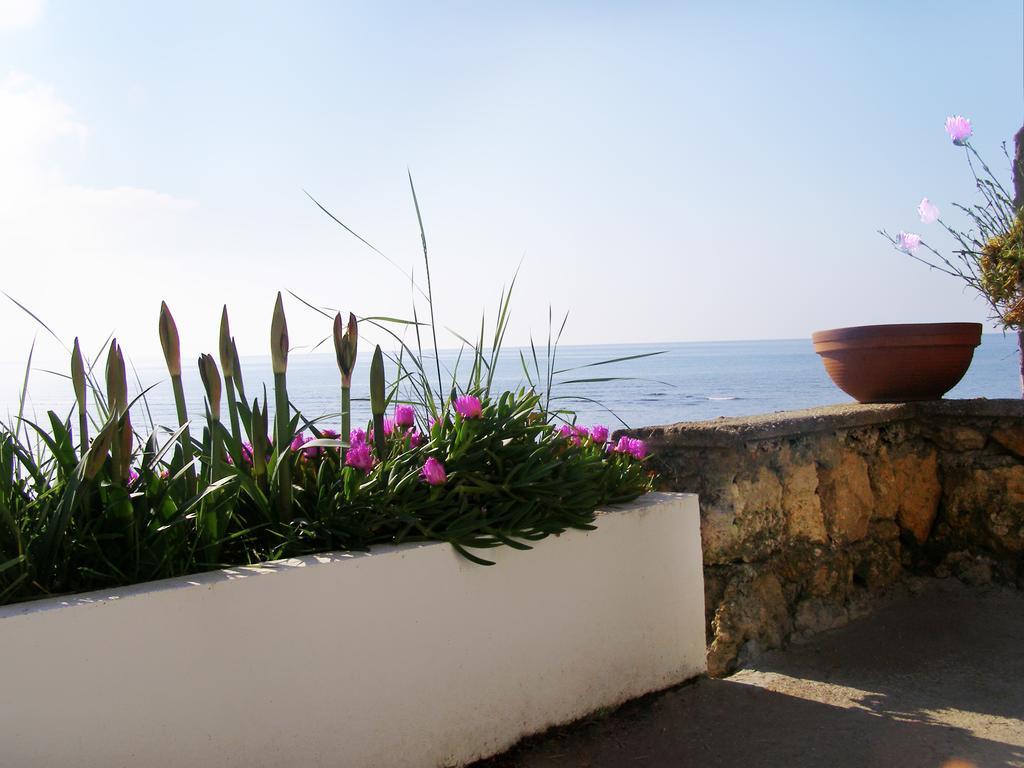 Palastura Apartments Ulcinj Ngoại thất bức ảnh