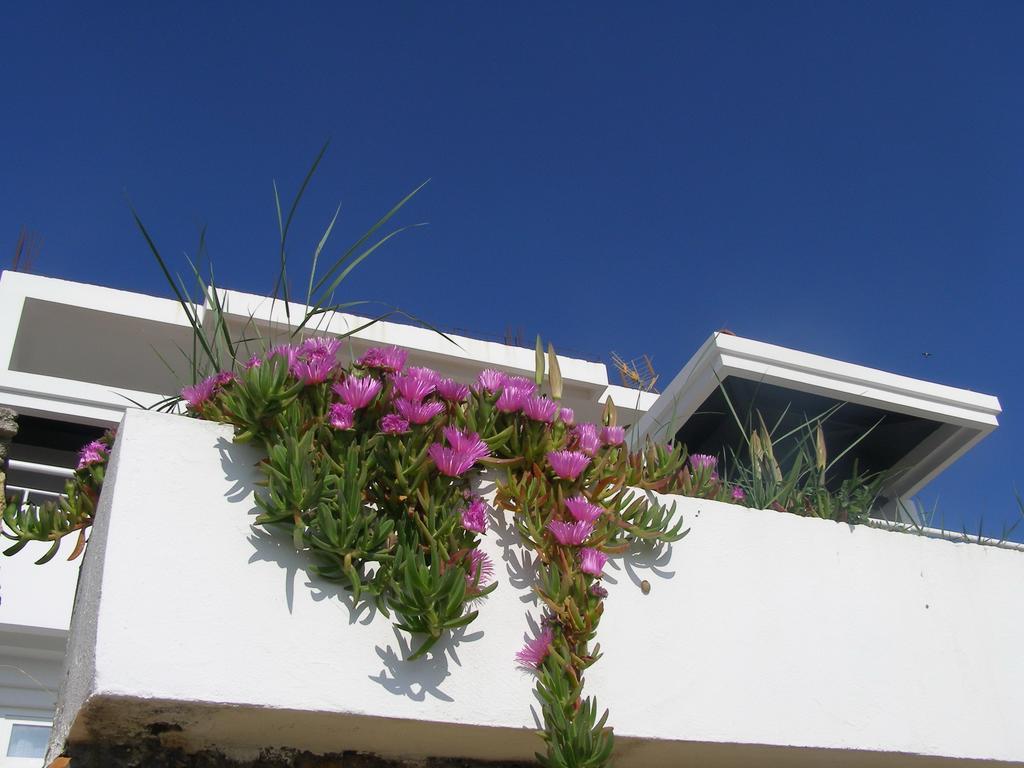 Palastura Apartments Ulcinj Ngoại thất bức ảnh