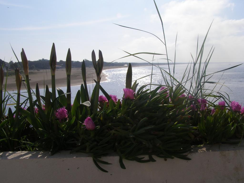 Palastura Apartments Ulcinj Ngoại thất bức ảnh